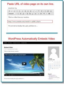 Nhúng video vào Wordpress